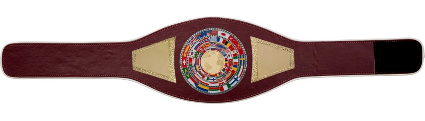 WORLD CHAMPION PROFLAG2/FLAG/G/BIGWG - VARIETY OF LEATHER COLOURS AVAILABLE WORLD CHAMPION PROFLAG2/FLAG/G/BIGWG - VARIETY OF LEATHER COLOURS AVAILABLE